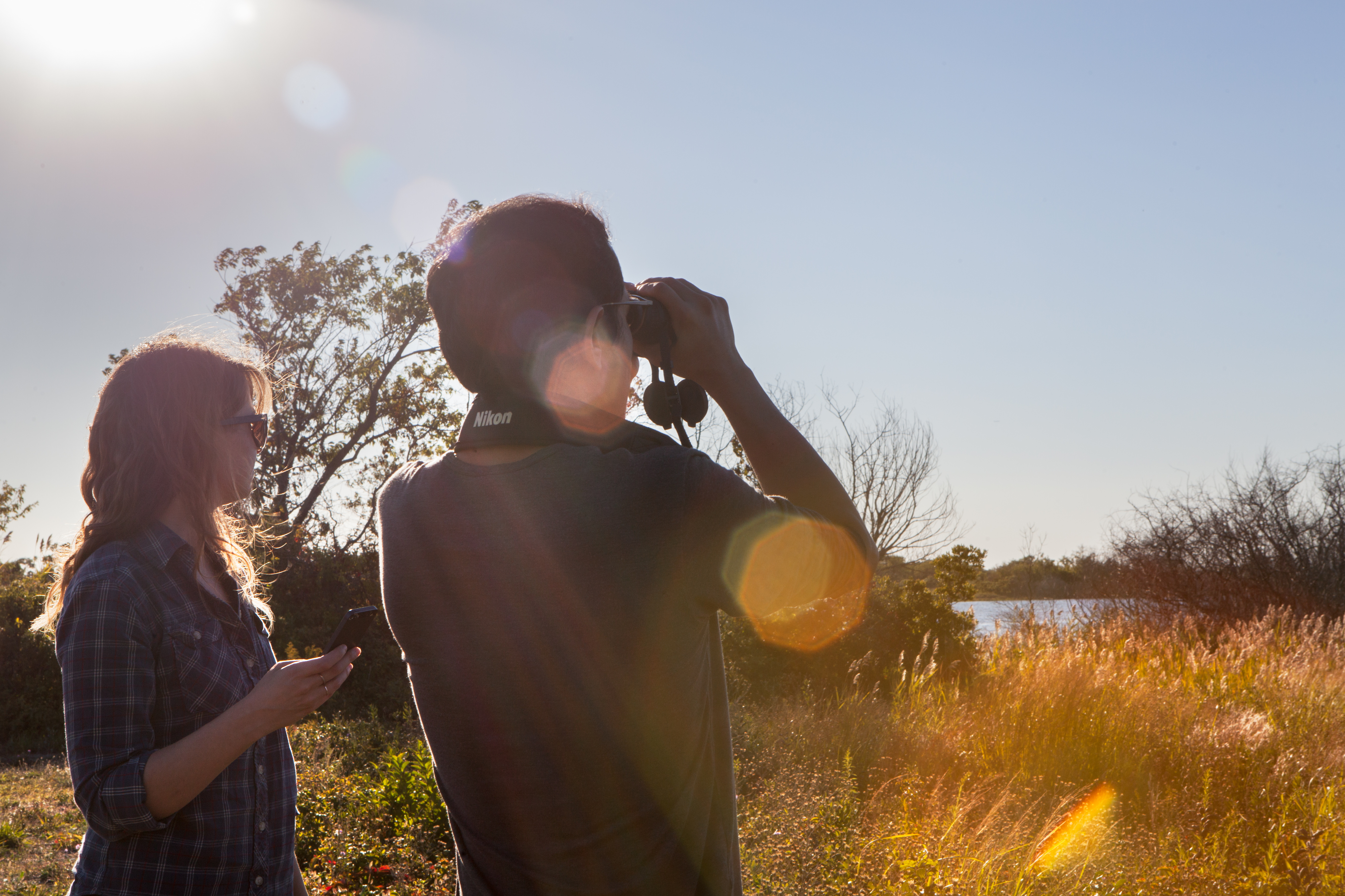 Photo features a Sandhill Crane, a large bird, standing on one leg with wings open.