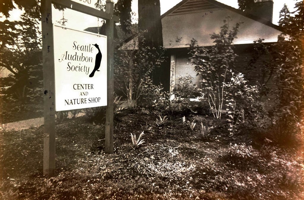 A Fond Farewell to Our Wedgwood Home