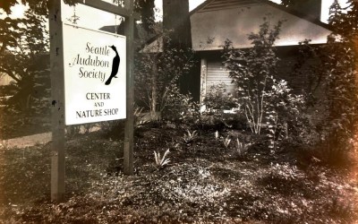 A Fond Farewell to Our Wedgwood Home