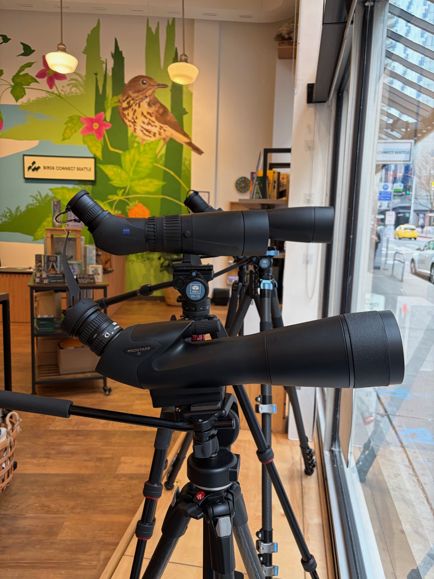 Photo features a Sandhill Crane, a large bird, standing on one leg with wings open.