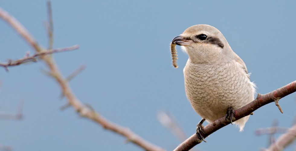 Protected: Member Appreciation Week 2025