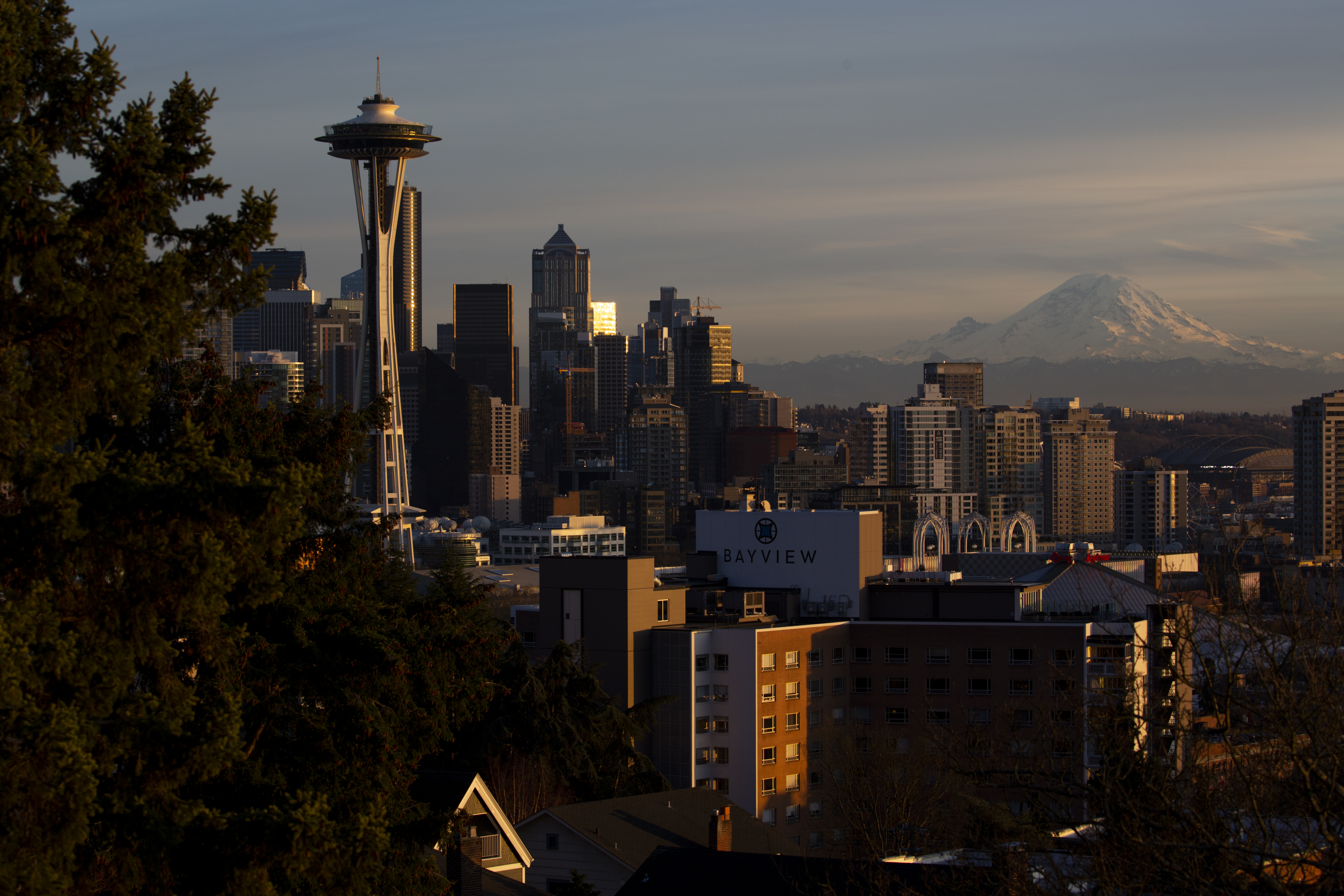 Photo features a Sandhill Crane, a large bird, standing on one leg with wings open.