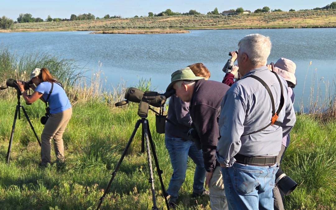 Birding Across Washington State’s Ecoregions