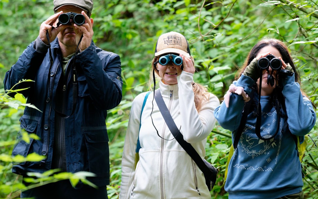 Binoculars 101: How to Choose Your First Pair for Birding