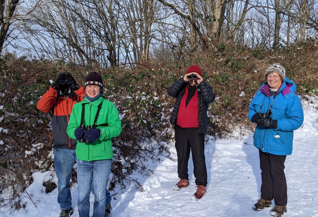 Four people are outside on a snowy day. There are brambles and trees with bare branches behind them. They are dressed in warm clothing and are carrying binoculars.