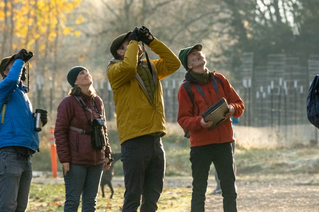 Image features four people looking up through binoculars.
