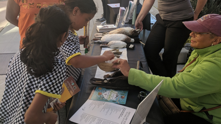 A Black woman in a green jacket sits behind a table. She holds out a museum specimen of a bird for a group of young people to see.
