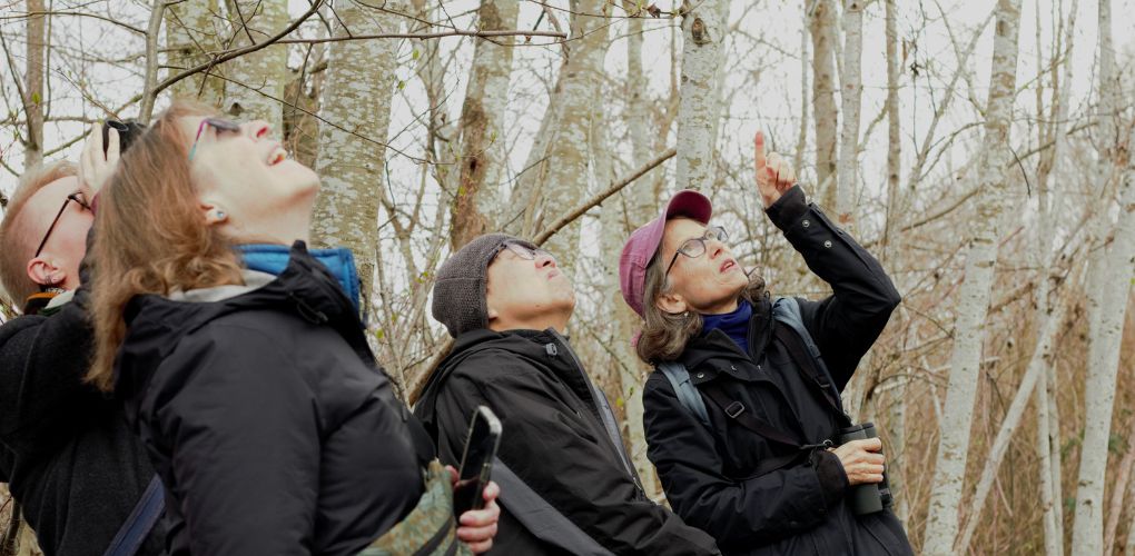 Neighborhood Bird Project: Data Suggest More than Half of Local Bird Species Could Be Declining