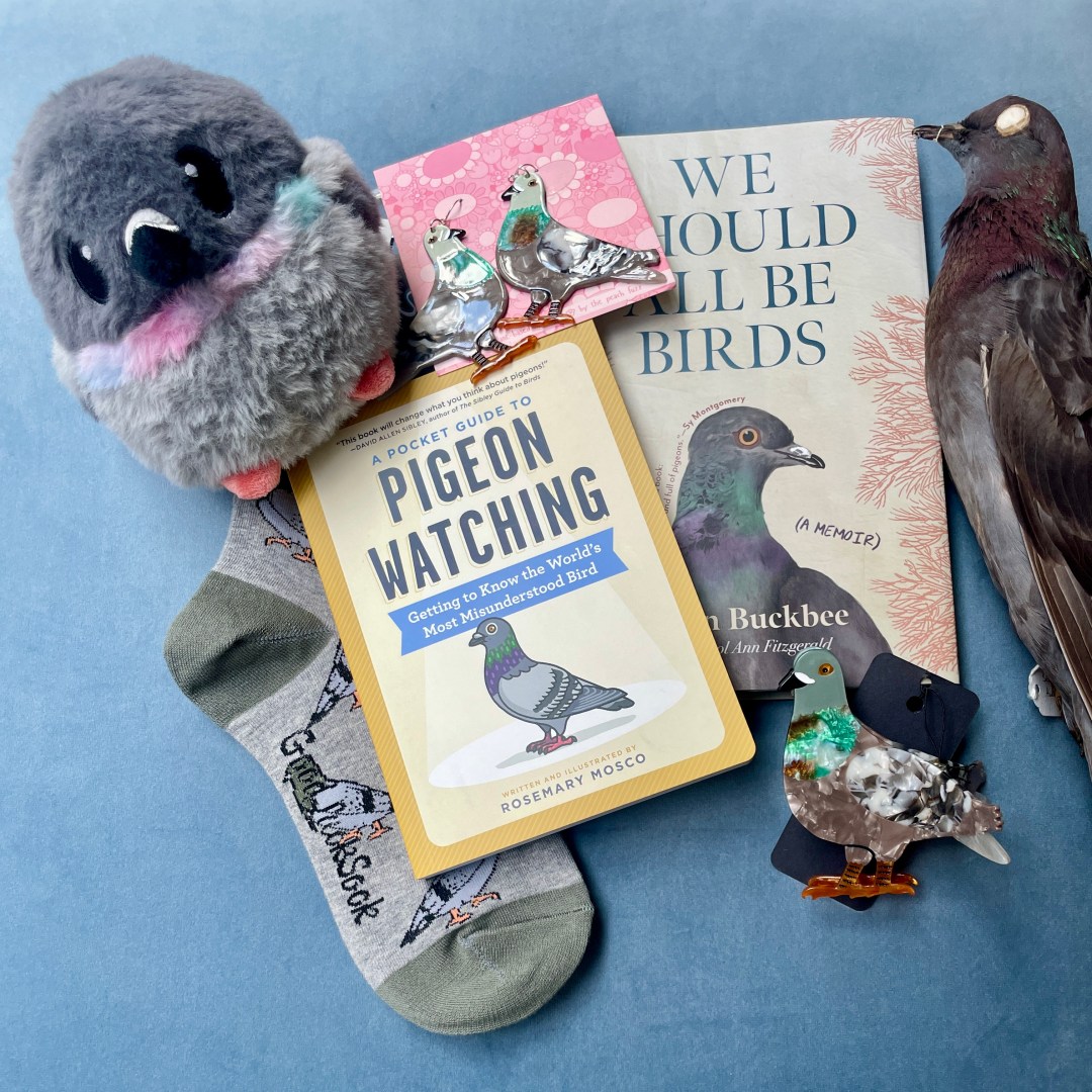 Photo features a collection of pigeon themed items.