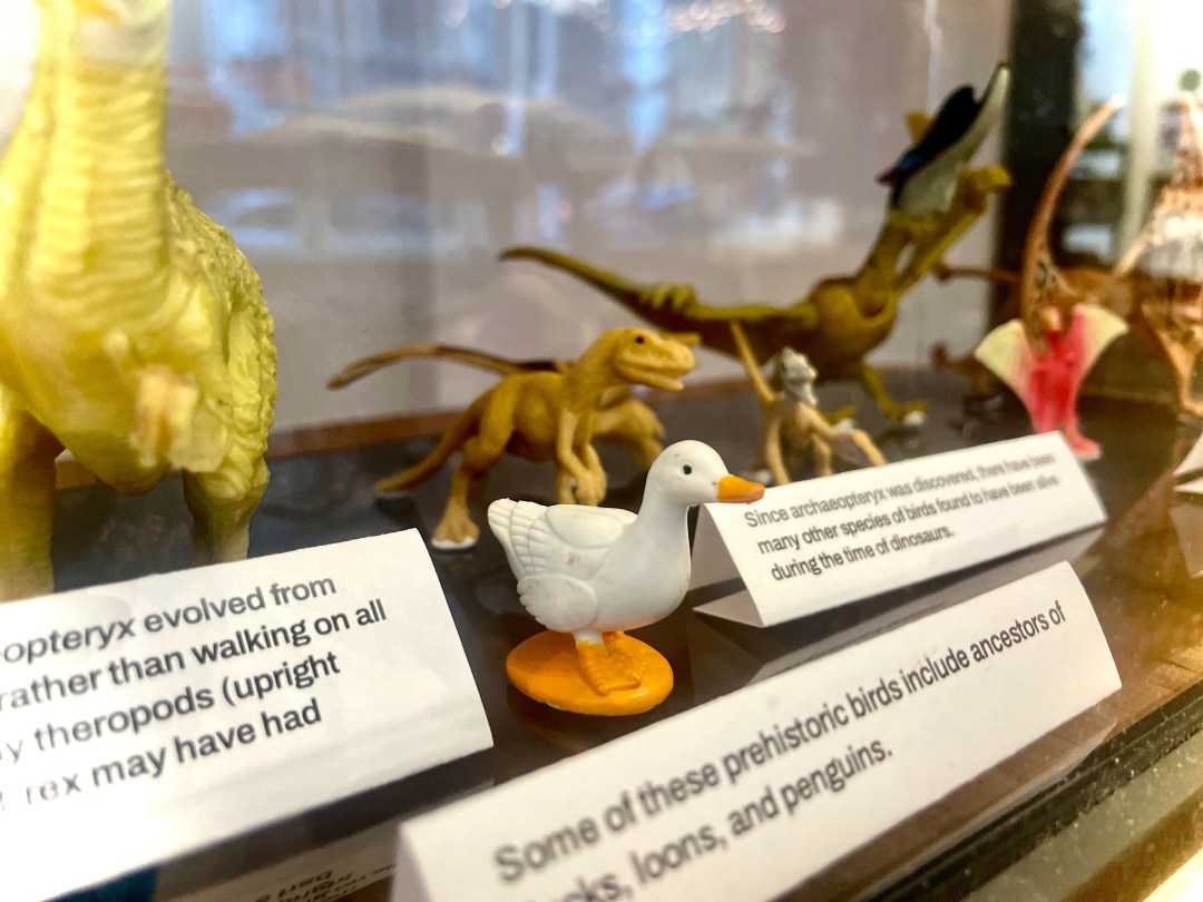 Photo features small figurines of dinosaurs and a duck. In front of each is text on small white displays.