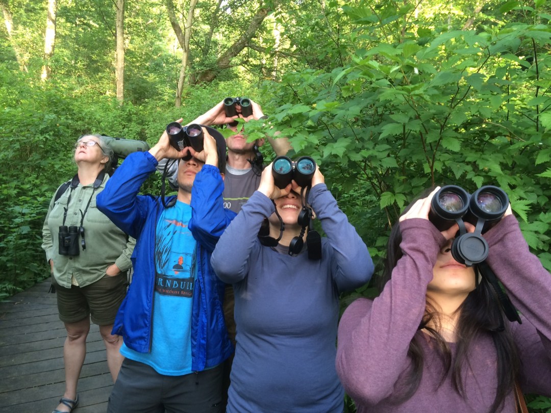 Staff birding