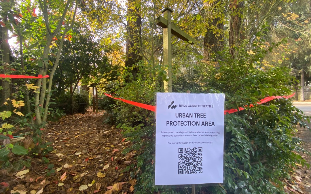 Conservation Easement for Trees and Wildlife