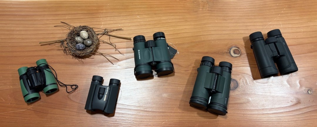 five pairs of binoculars are laying on a wood countertop