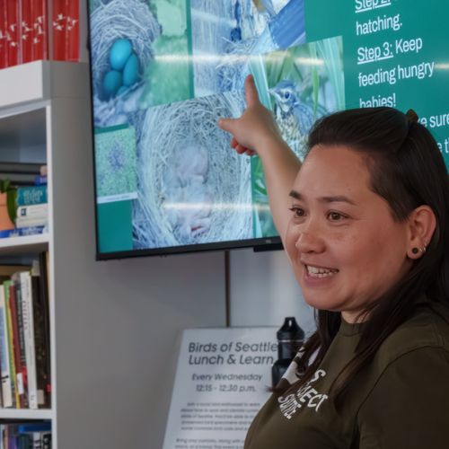 Photo features a Sandhill Crane, a large bird, standing on one leg with wings open.