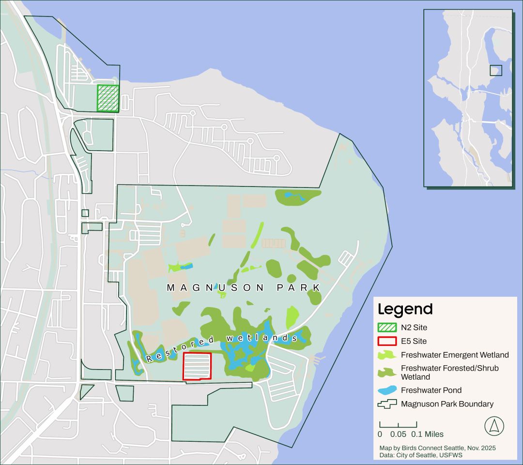 Possible sites for outdoor pickleball court development at Magnuson Park