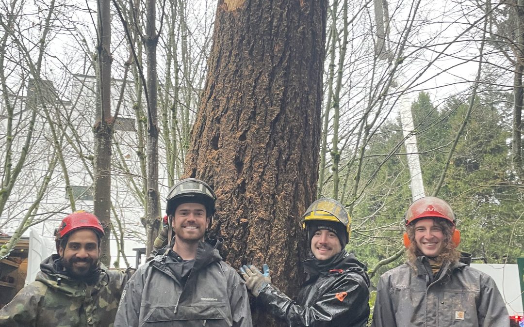 The Bart Simpson Treatment for the Snag