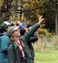 Molly Hetherwick (they/them)