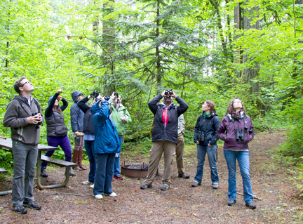 Photo features a Sandhill Crane, a large bird, standing on one leg with wings open.