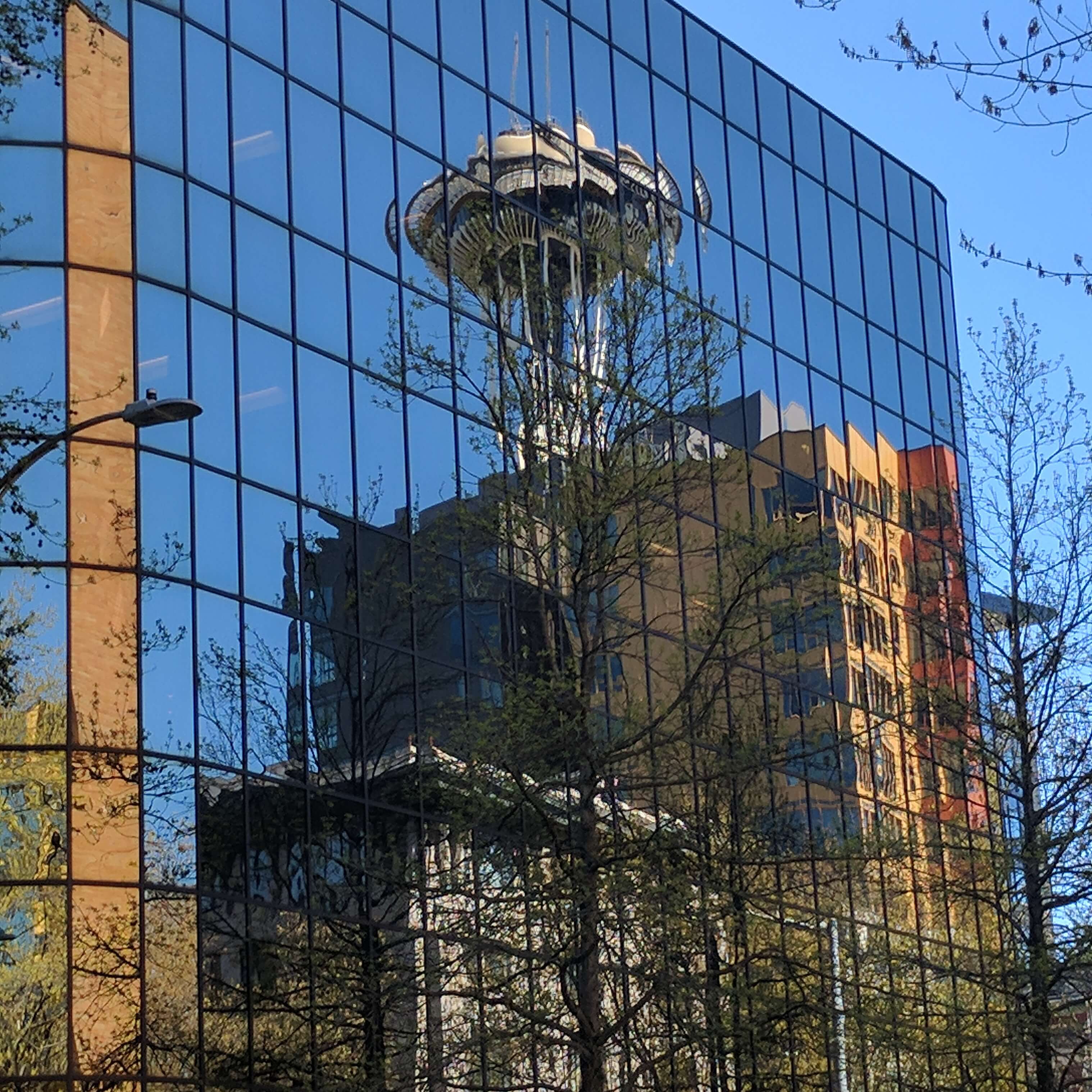 Photo features a Sandhill Crane, a large bird, standing on one leg with wings open.