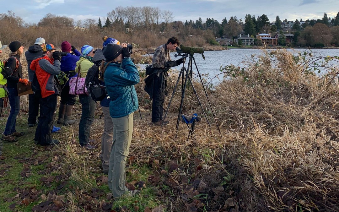 Working Towards an IDEAL CBC 2025 Update