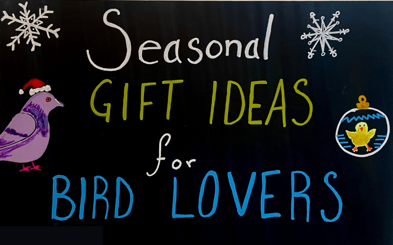 Holiday Gift Guide: Staff & Volunteer Favorites for Every Bird Lover