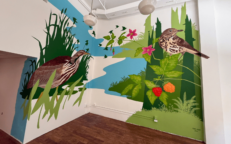 Image features the completed Birds Connect Seattle mural, featuring an American Bittern in reeds and cattails, and a Swainson's Trush perched on colorful Salmonberry.