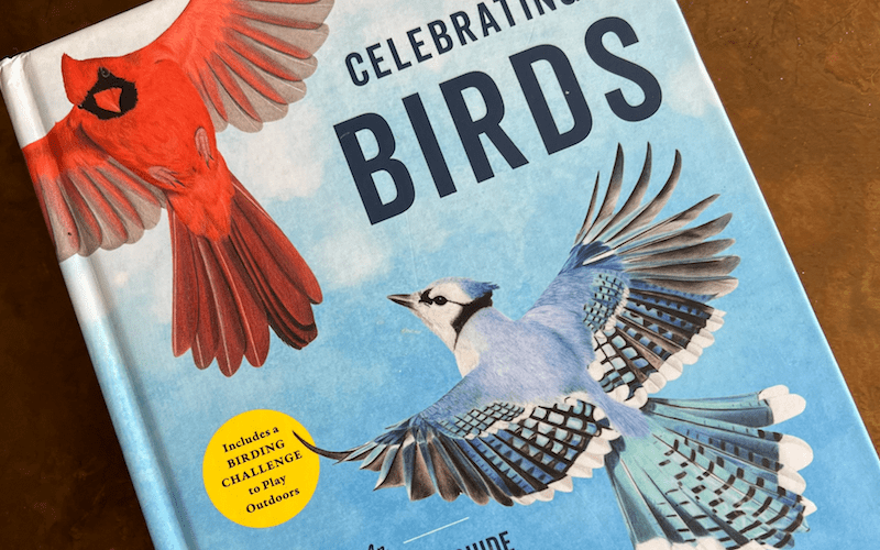 Bryony Angell on Wingspan Game Illustrators’ New Book