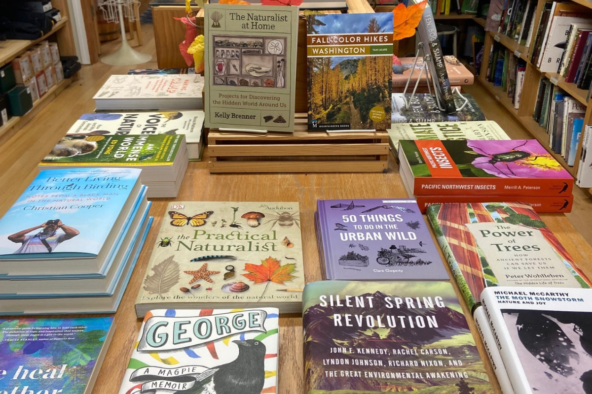 Photo features a Sandhill Crane, a large bird, standing on one leg with wings open.
