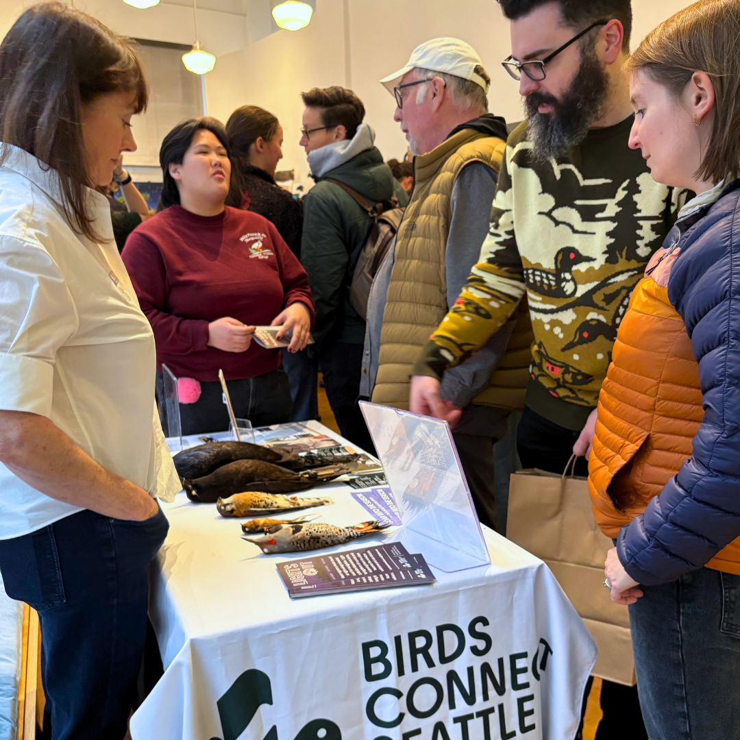Photo features a group of people looking at preserved bird specimens on a table.