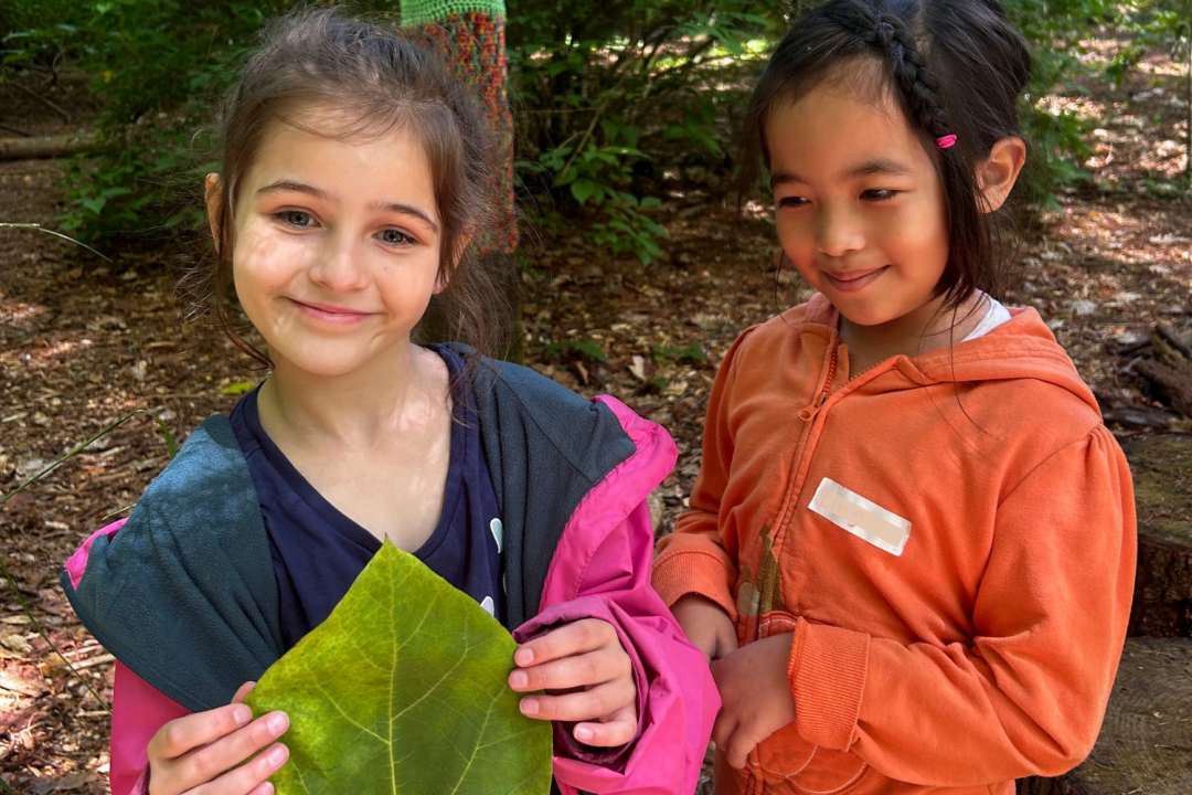 Photo features a black bird with an orange breast sitting in snow covered branches.