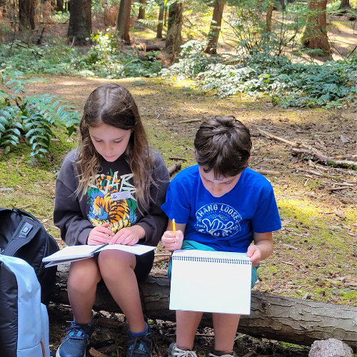 Bear Salmon Mosquito