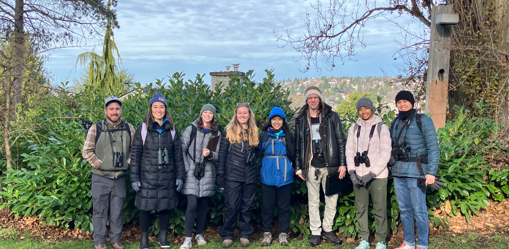 Photo features a Sandhill Crane, a large bird, standing on one leg with wings open.