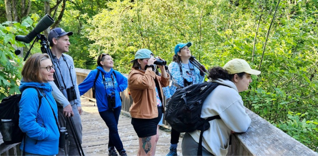 Photo features a Sandhill Crane, a large bird, standing on one leg with wings open.