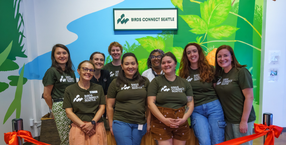Photo features a Sandhill Crane, a large bird, standing on one leg with wings open.