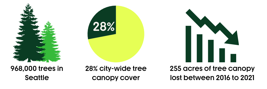 An infographic showing that there are an estimated 968,000 trees in Seattle, that city-wide tree canopy cover in Seattle is 28%, and that canopy is in decline, with 255 acres of tree canopy lost between 2016 and 2021.